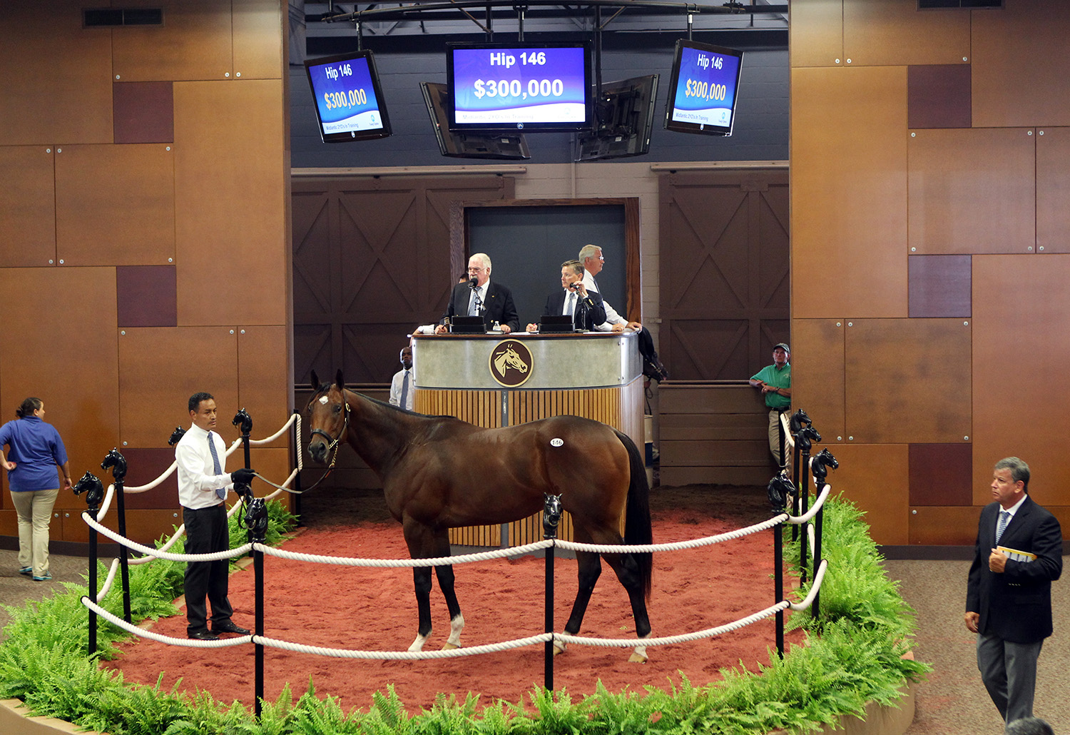 Hip 146, a MacLean's Music/Cheyenne Autumn colt, sold for $300,000 at the Fasig-Tipton Midlantic sale
