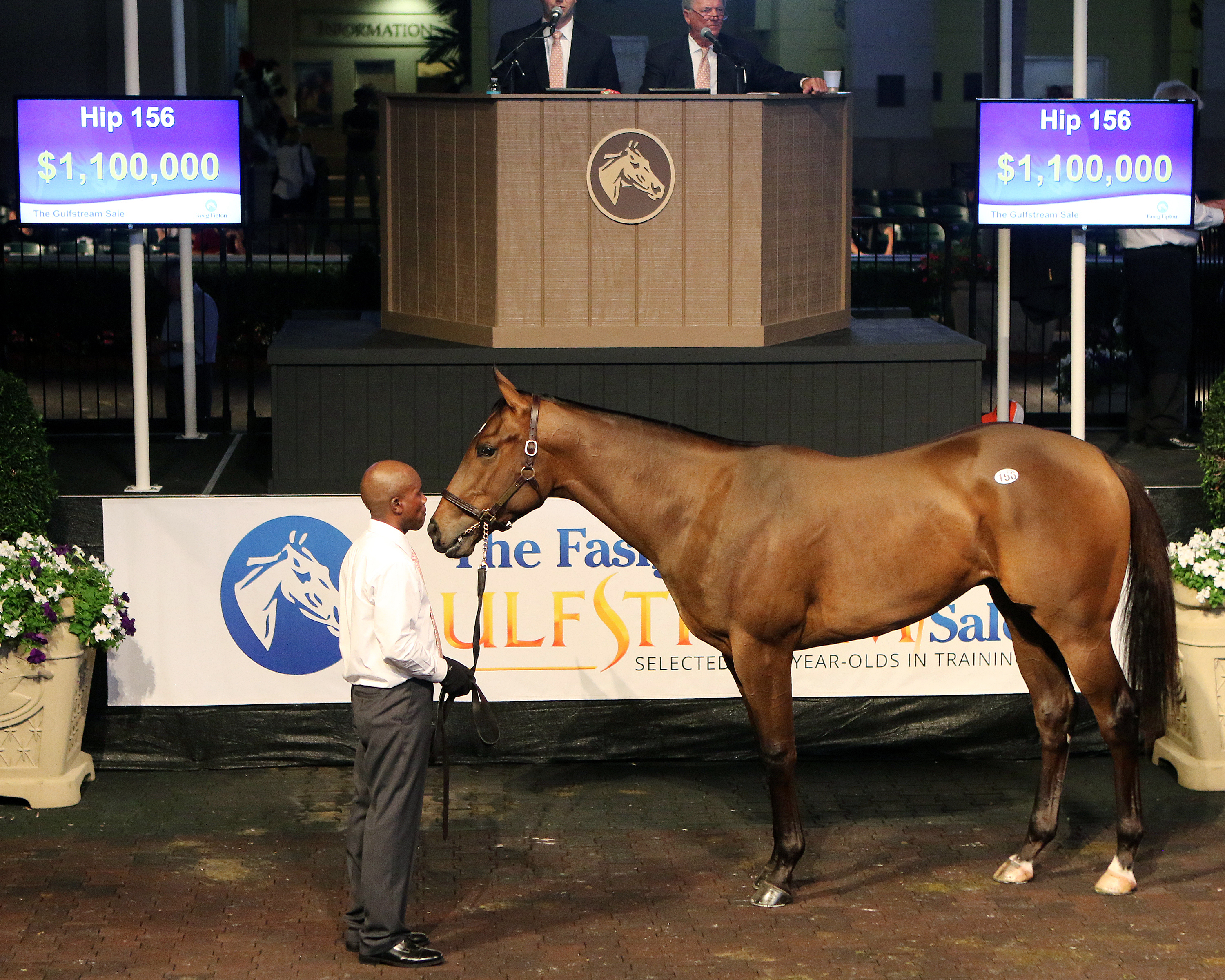 More Than Ready colt sells for $1.1 million at the Gulfstream Sale