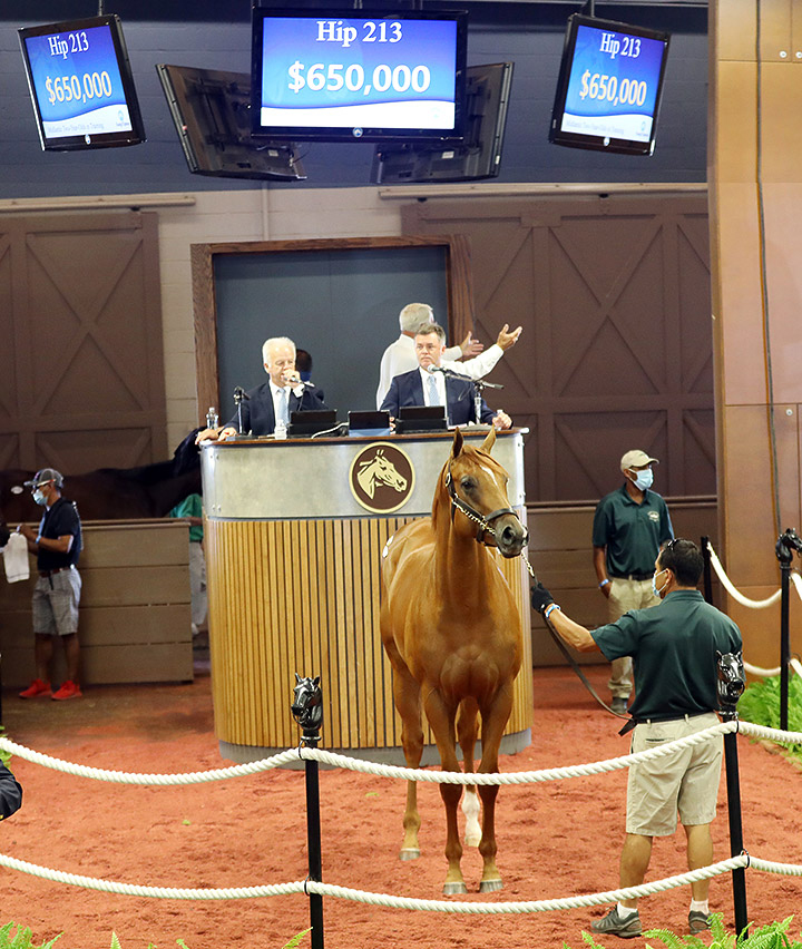 Hip 213, a Not This Time/Sanctissima colt, sells for $650,000 at the Fasig-Tipton Midlantic 2-year-olds in training sale