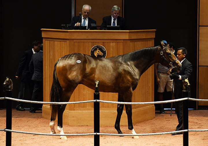 Sale topper - Hip 22 of the Fasig-Tipton July Yearling sale