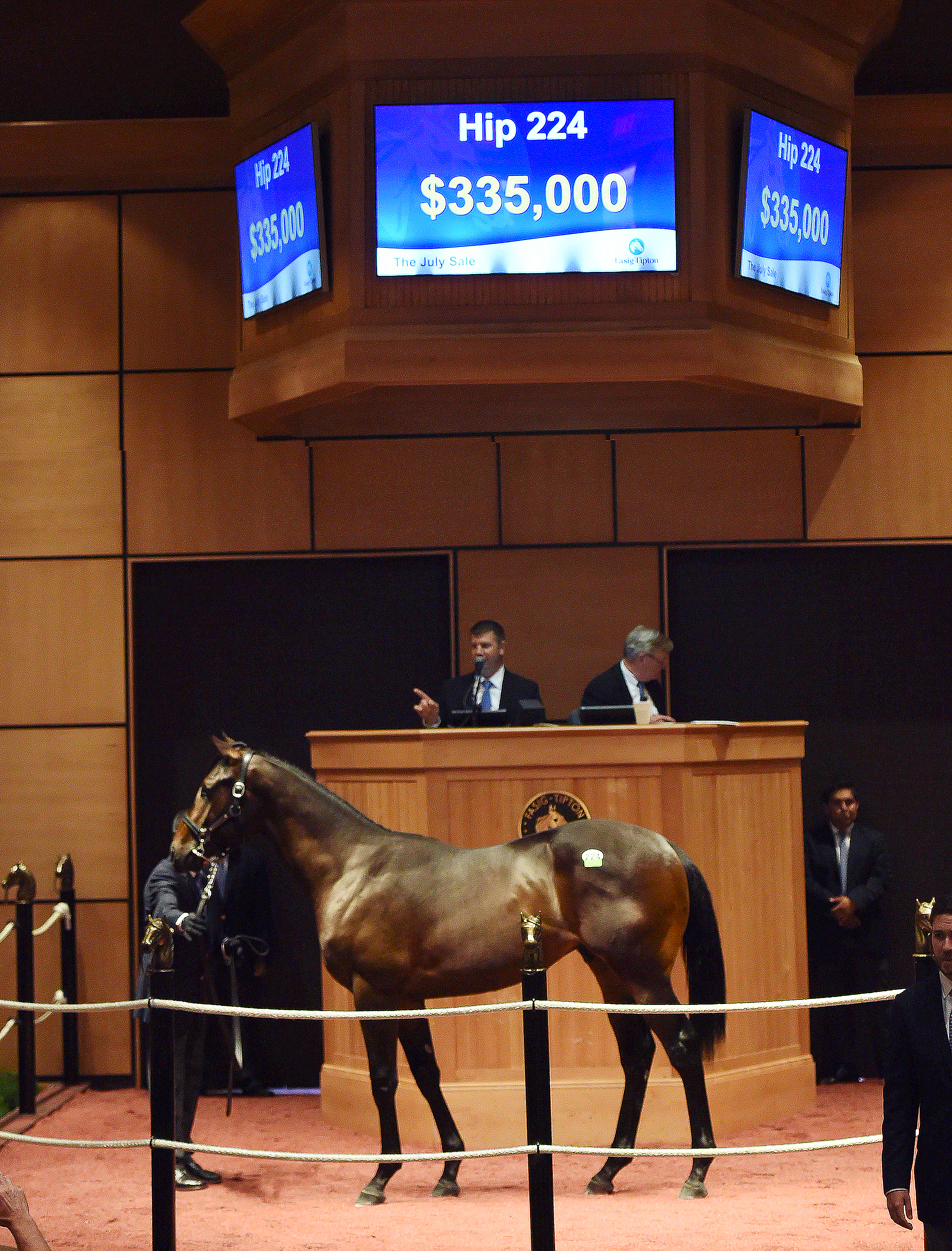 Hip224 a Violence-Frolic's Dream colt at Fasig-Tipton's July sale