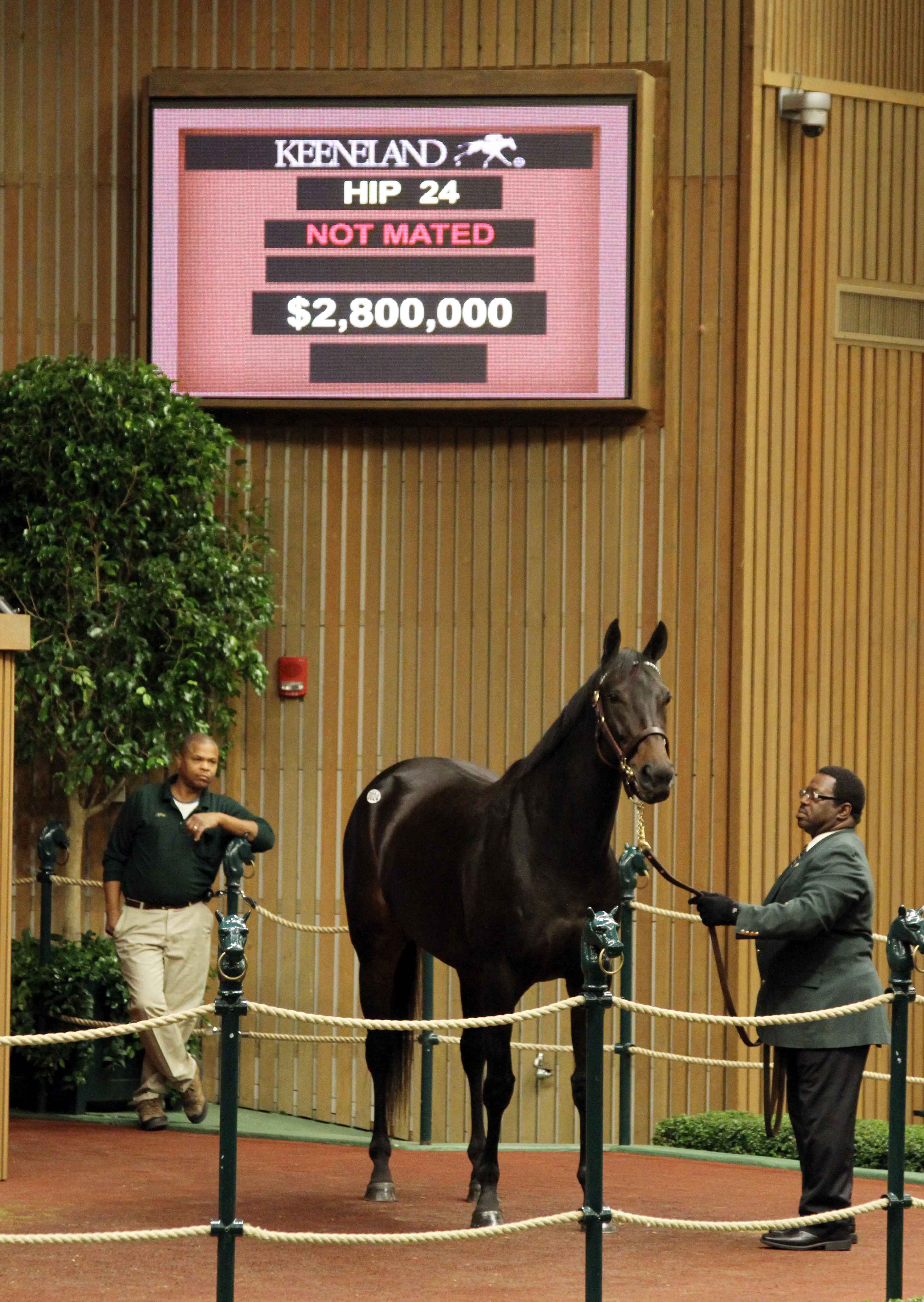 Harmonious sells at the Keeneland sale
