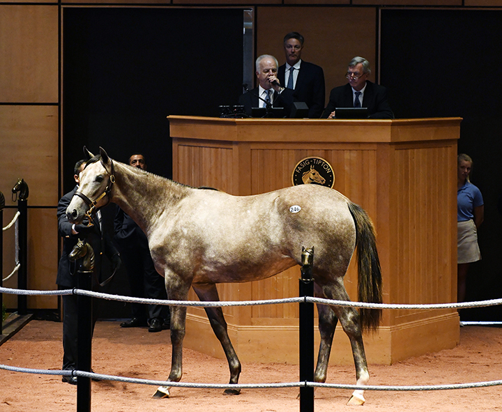 A Frosted-Humble Street filly sells for $330,000 at the Fasig-Tipton July yearling sale