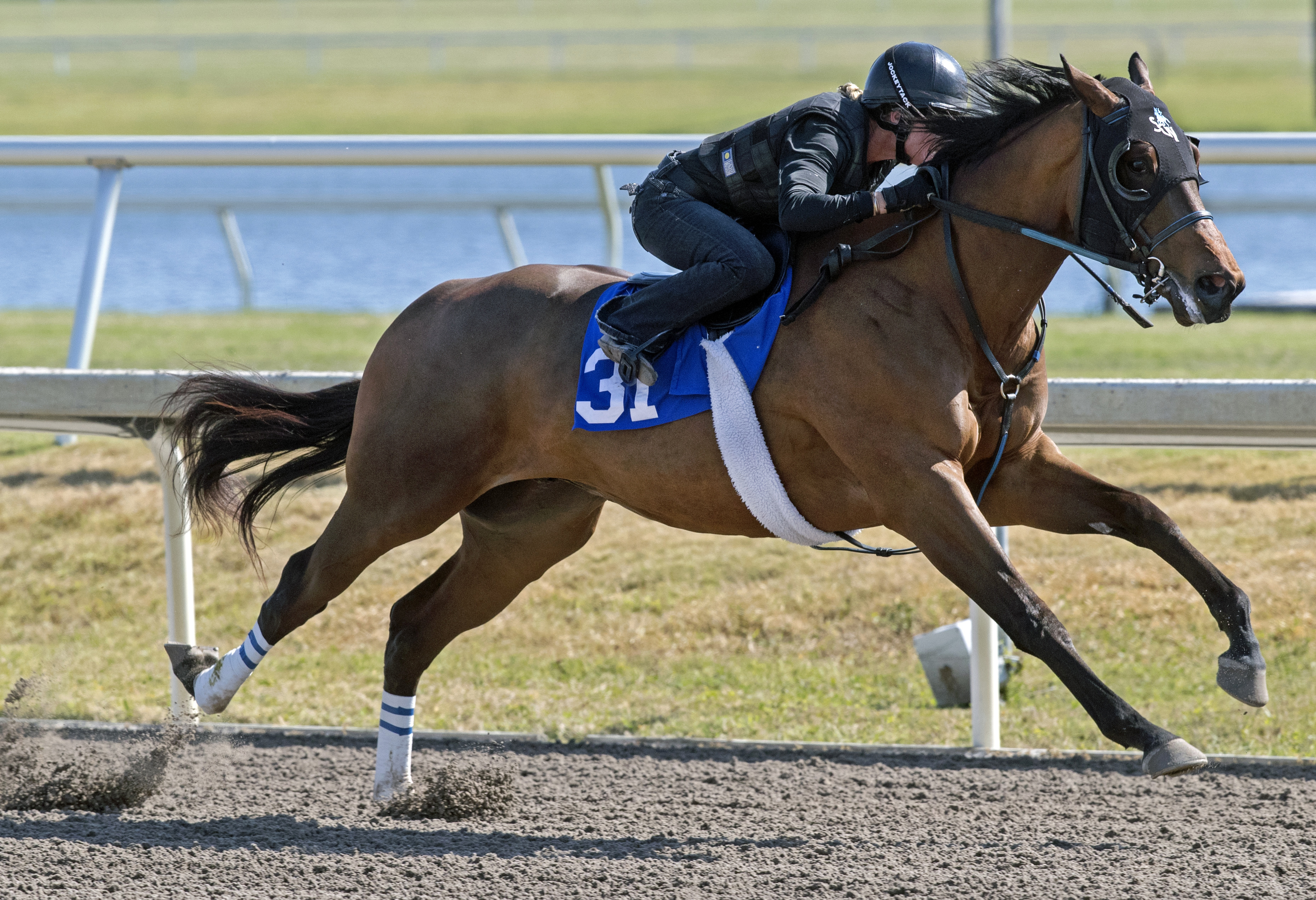 Hip 31 covers one-eighth of a mile in 10 seconds at the Fasig-Tipton Gulfstream tack show