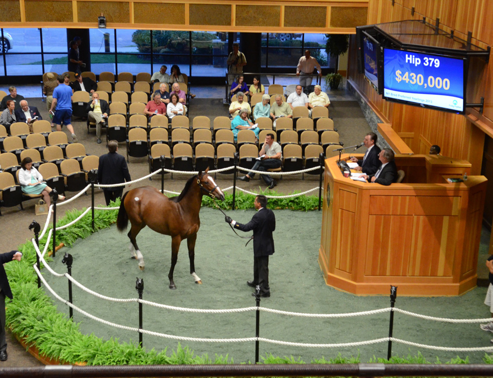 Hip 379, top seller, Fasig-Tipton NY-bred sale