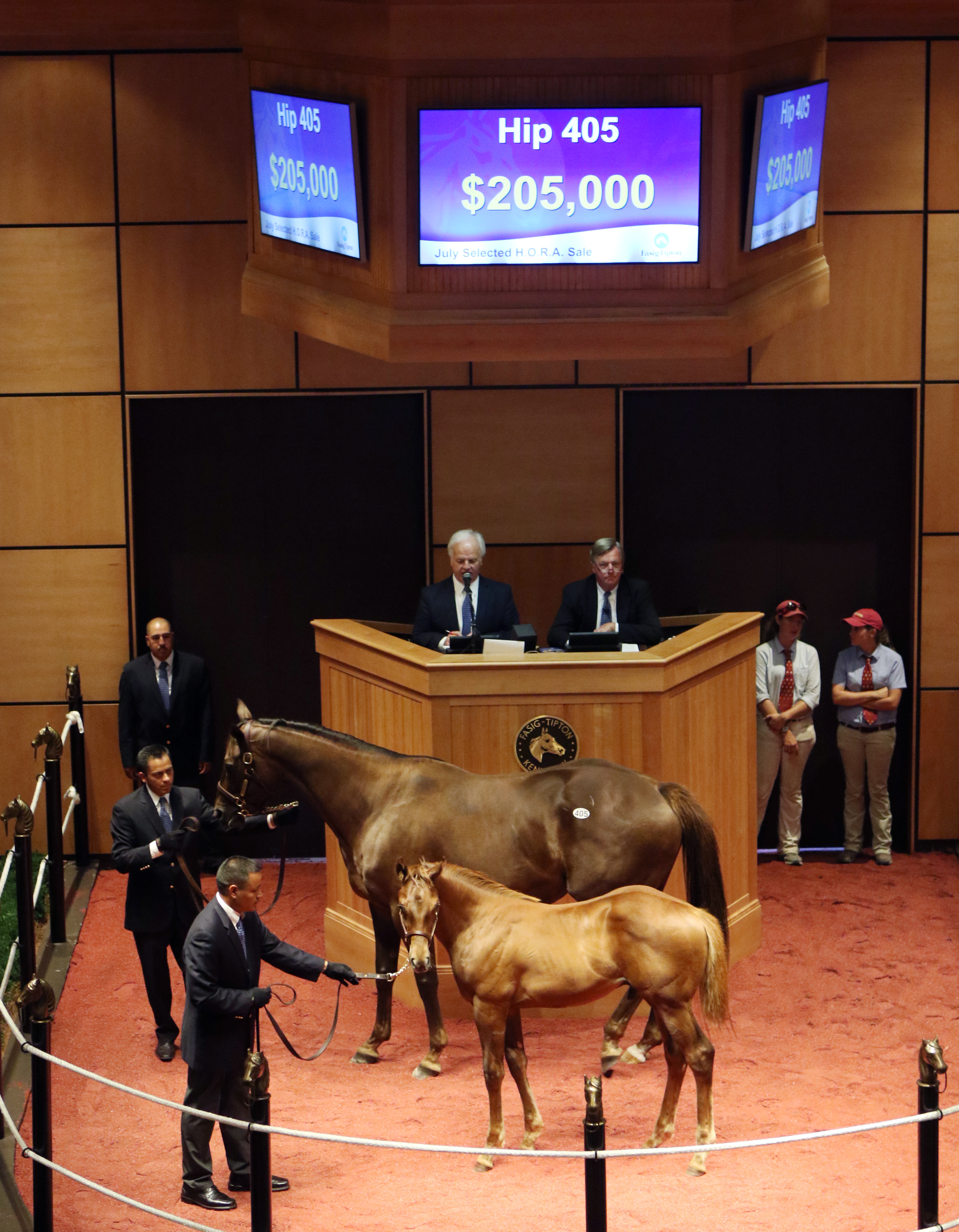 Kitness sells for $205,000 at the Fasig-Tipton horses of racing age sale