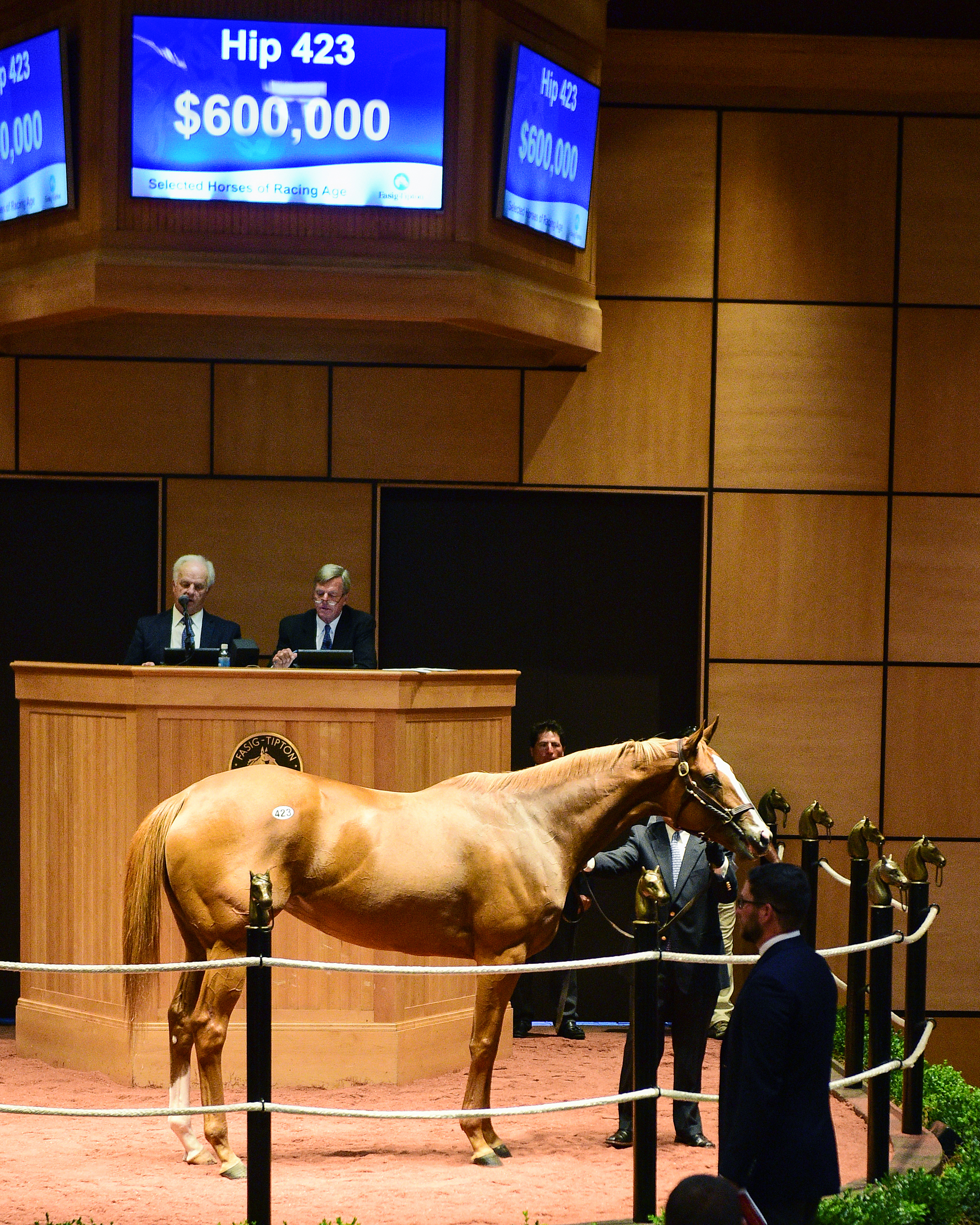 Distinta sells for $600,000 at the Fasig-Tipton July horses of racing age sale