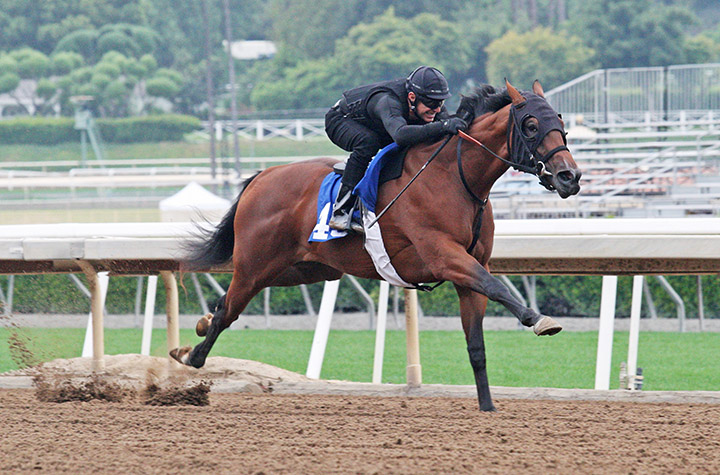 Hip 45, a Bernardini-Elbe filly, in the Santa Anita 2-year-olds in training under tack show