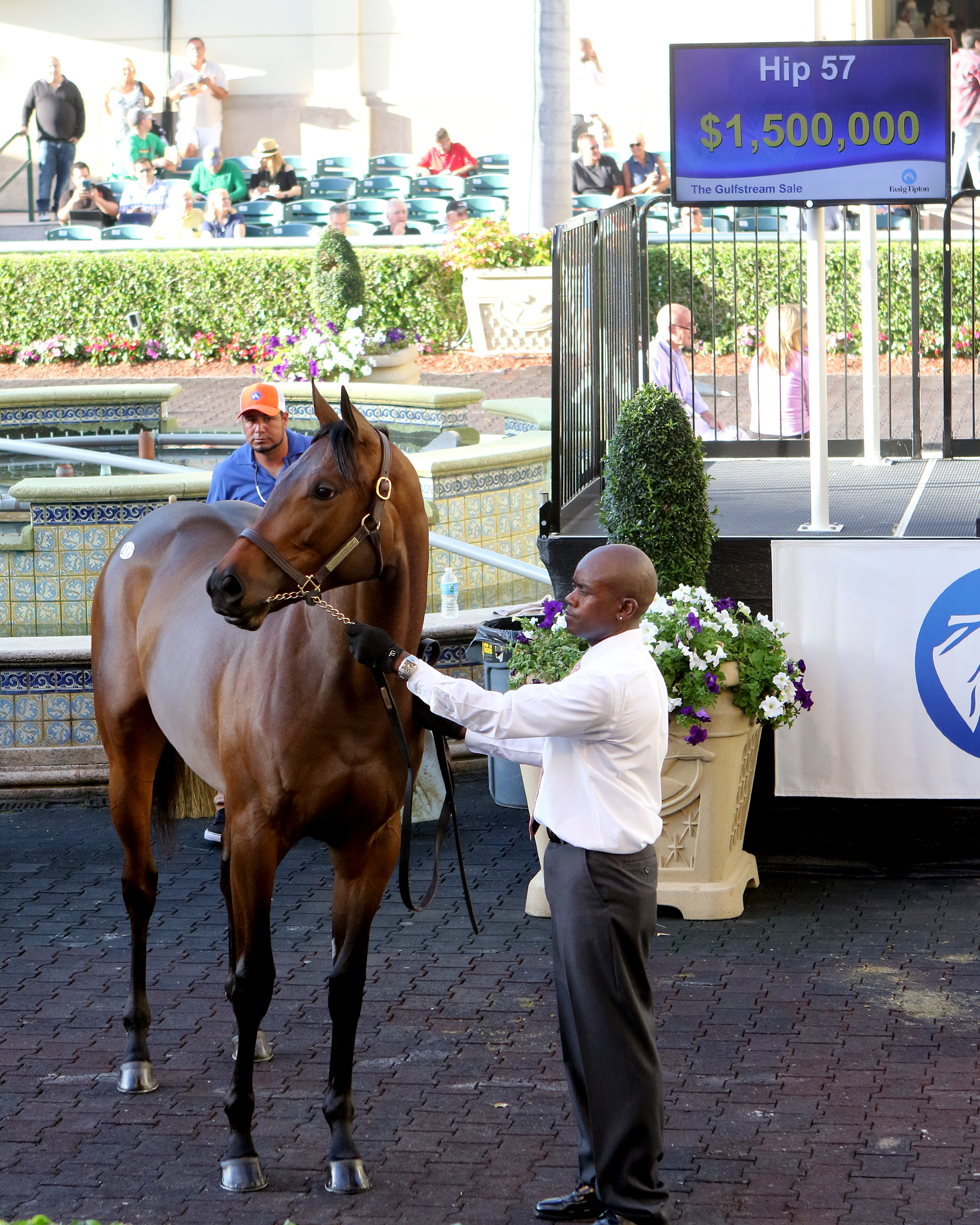 Gulfstream Sale topper Uncle Mo filly Hip 57