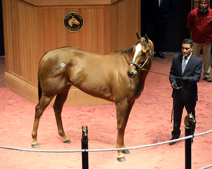 Remedy sells for $570,000 at the Fasig-Tipton Kentucky winter mixed sale