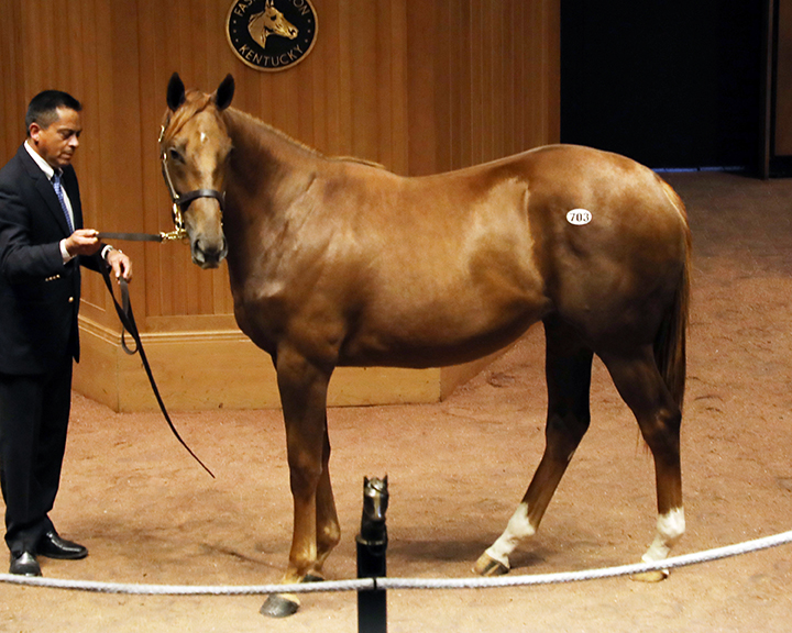 Hip 703, a Nyquist-Ketel Twist filly, sells for $325,000 at the Fasig-Tipton October sale