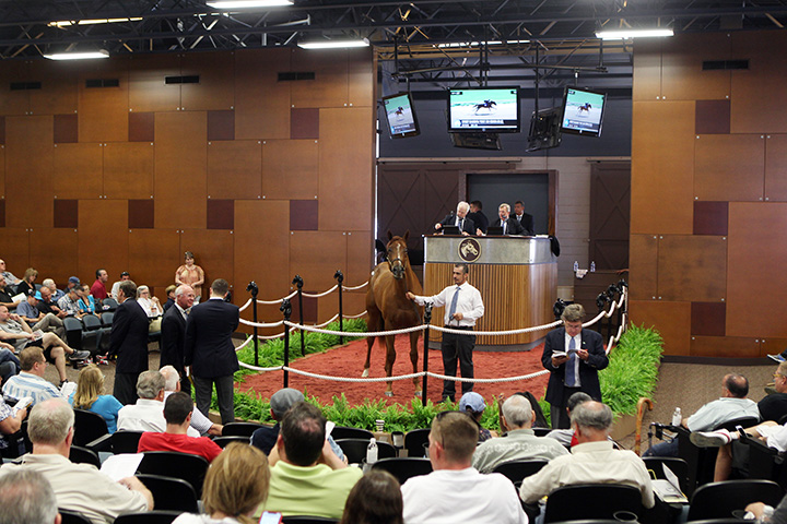 Fasig-Tipton Midatlantic 2-year-olds in training sale 2018