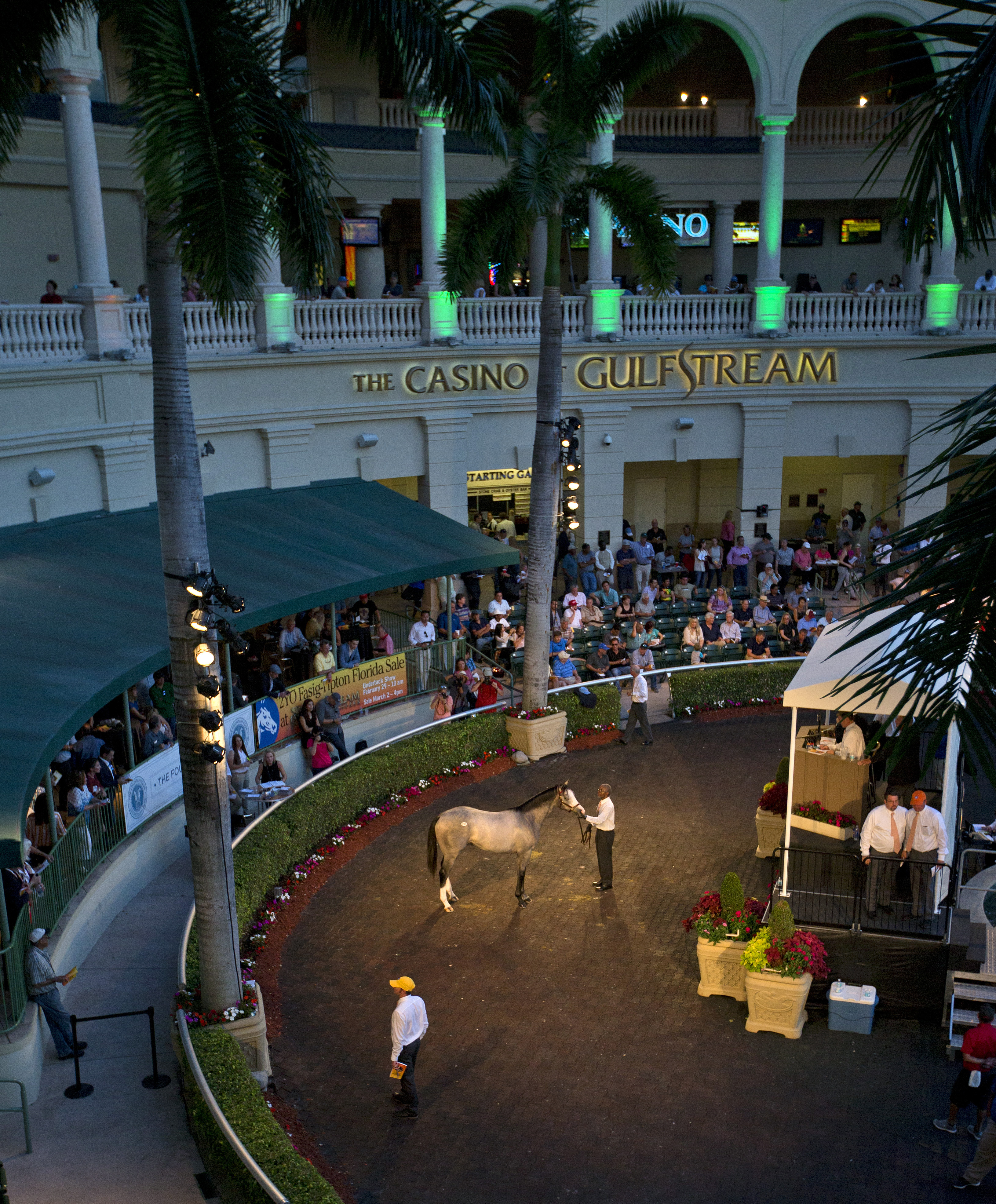 Fasig-Tipton Florida Sale in 2016