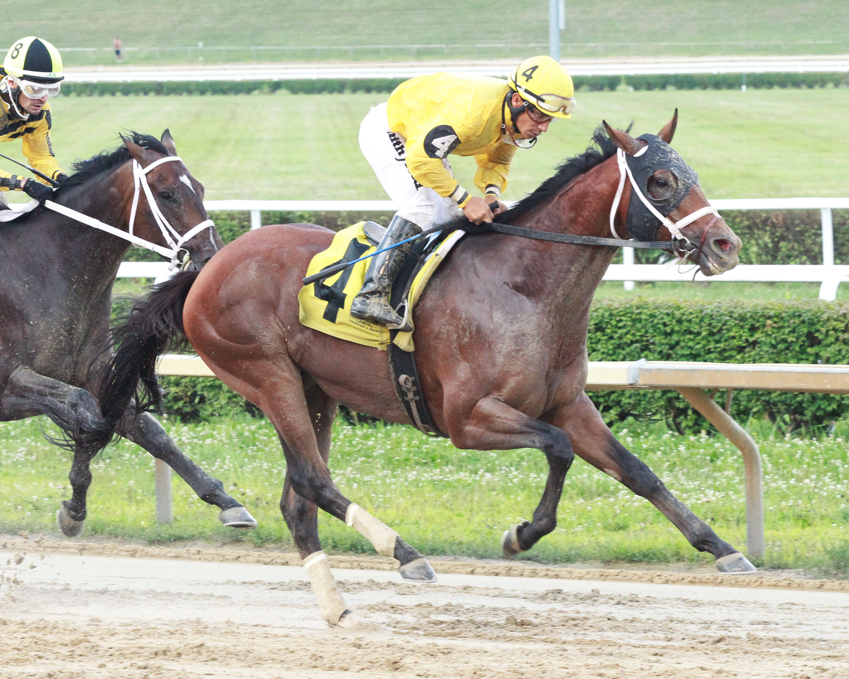 Fulsome wins West Virginia Governor's Cup 8-6-2022