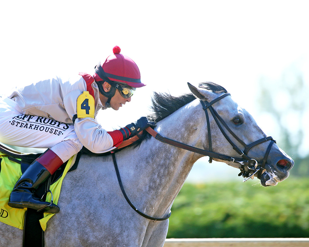 Fact Finding wins an October 2019 allowance at Keeneland
