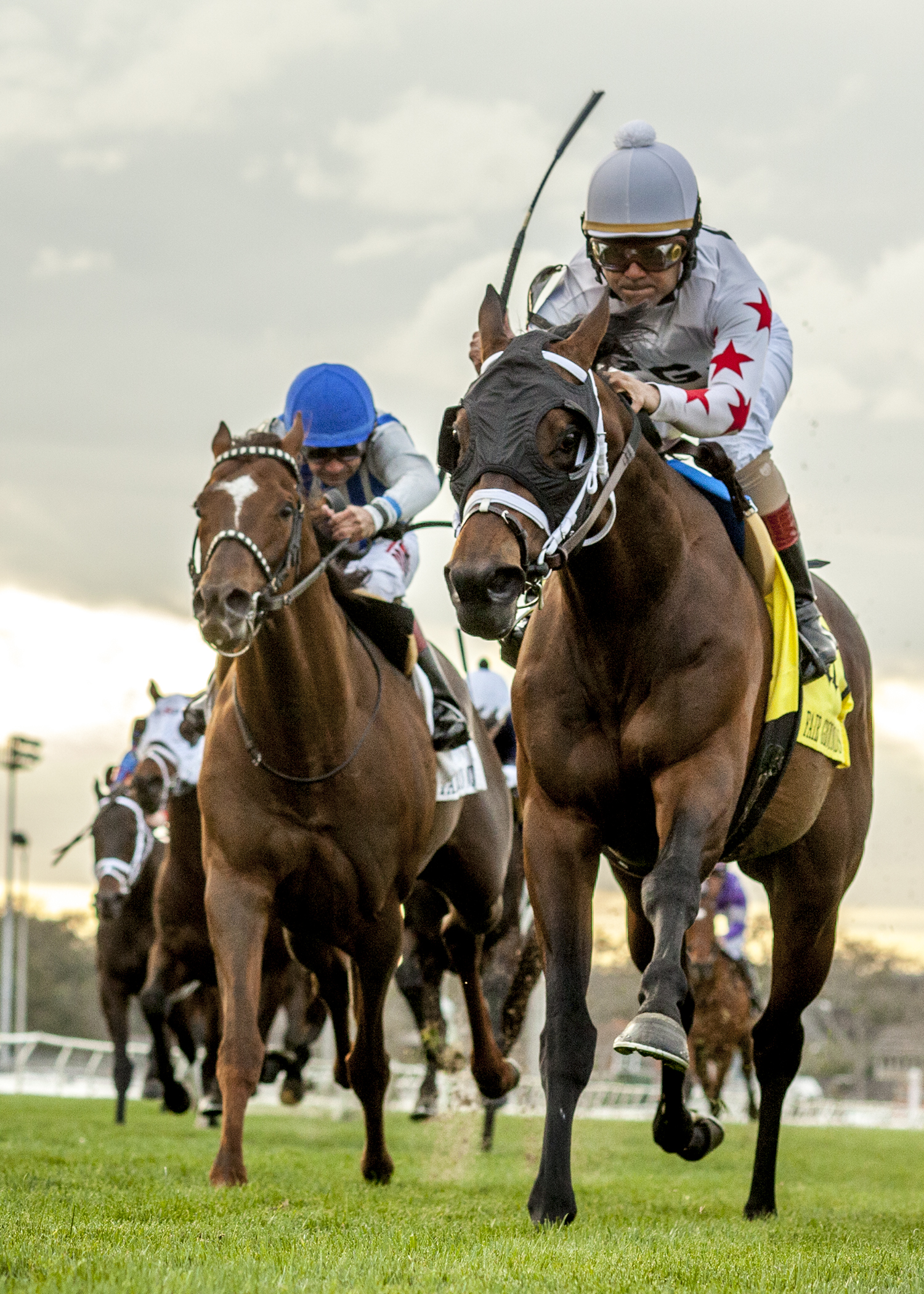 Factor This wins the 2020 Synchrony Stakes at Fair Grounds