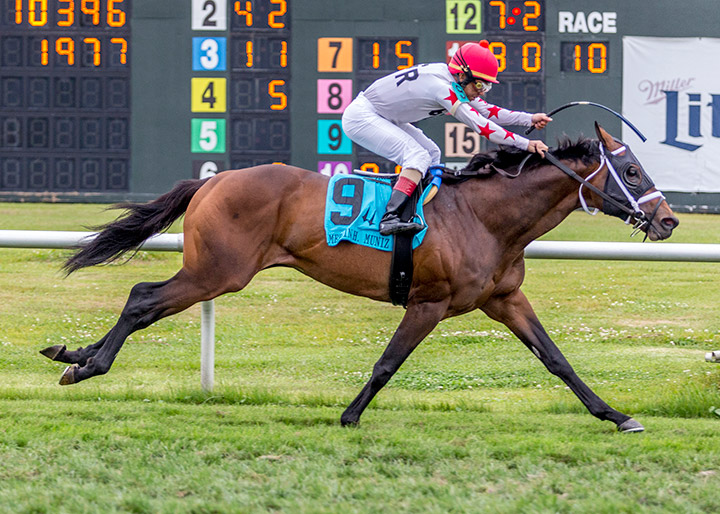 Factor This wins the 2020 Muniz Memorial Classic at Fair Grounds