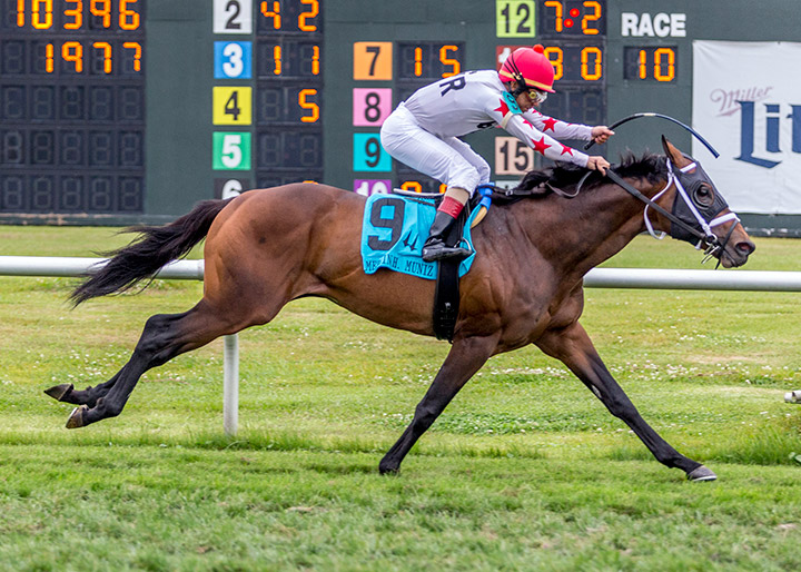 Factor This wins the 2020 Muniz Memorial Classic at Fair Grounds