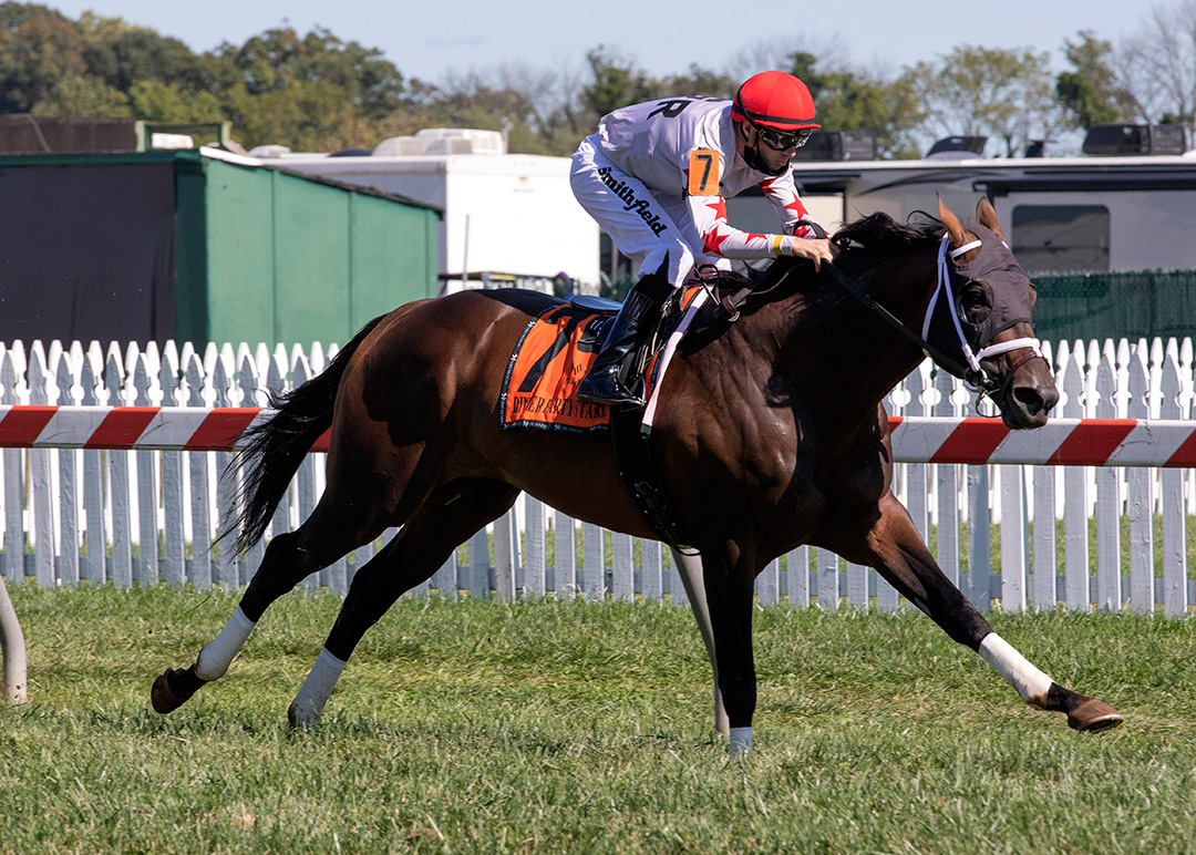 Factor This wins the 2020 Dinner Party Stakes at Pimlico Race Course
