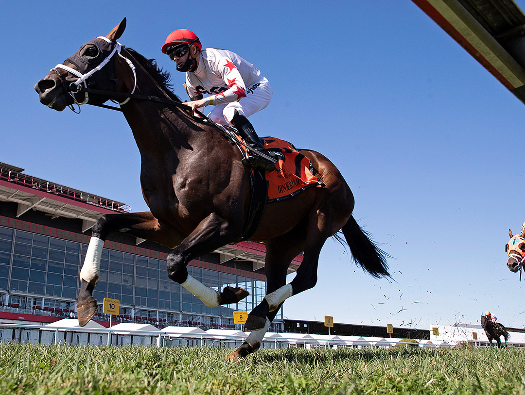 Factor This wins the Dinner Party Stakes at Pimlico Race Course