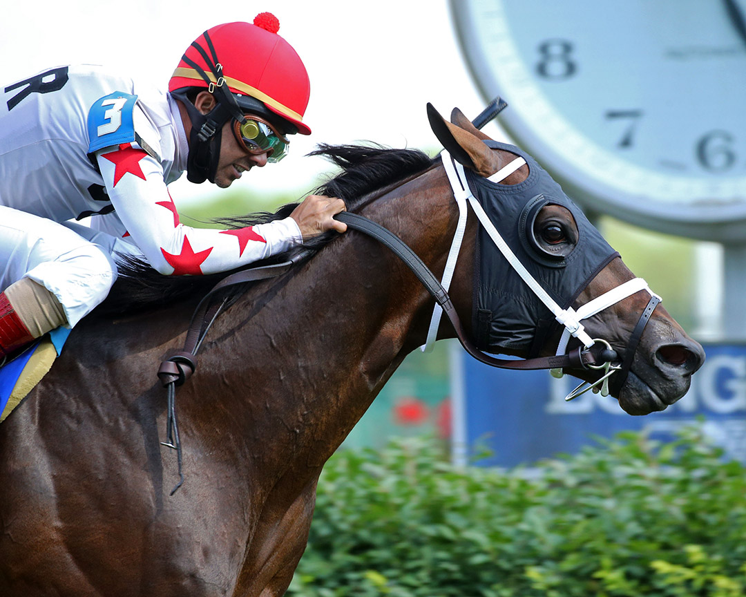 Factor This wins the 2020 Wise Dan Stakes at Churchill