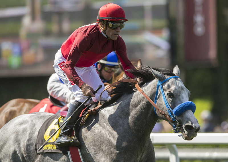 Factorofwon wins 2018 Black Pearl Stakes