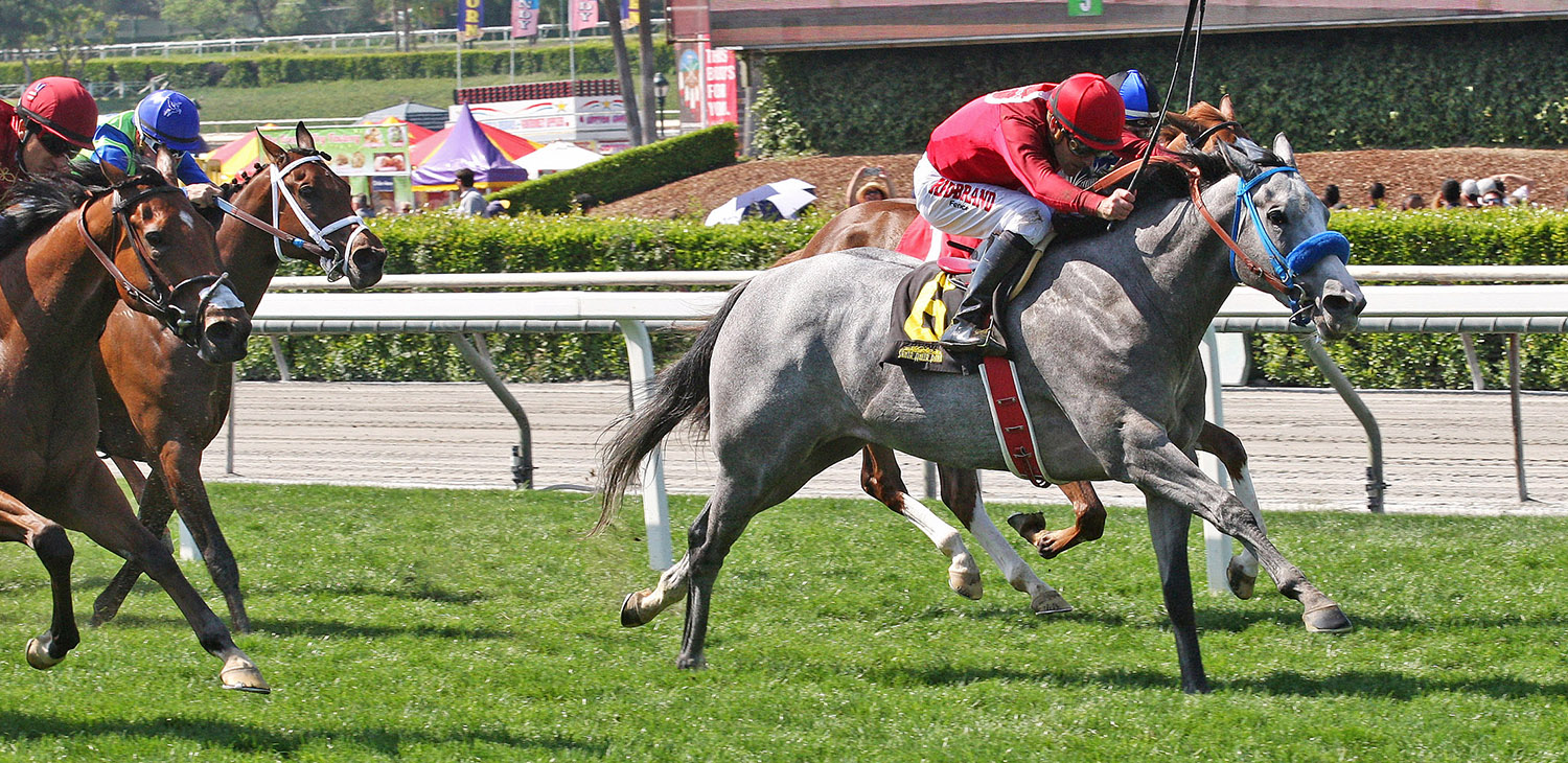 Factorofwon wins 2018 Black Pearl Stakes