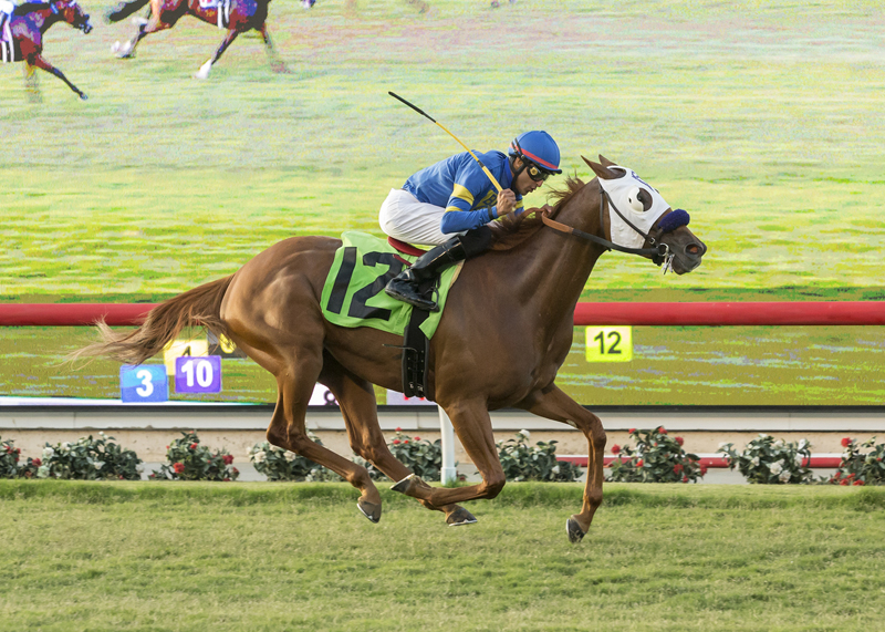 Fahan Mura wins the Osunitas Stakes