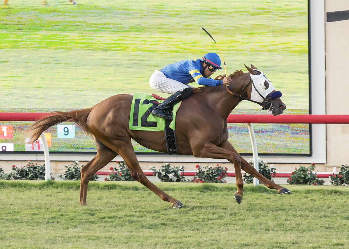 Fahan Mura wins the 2018 Osunitas