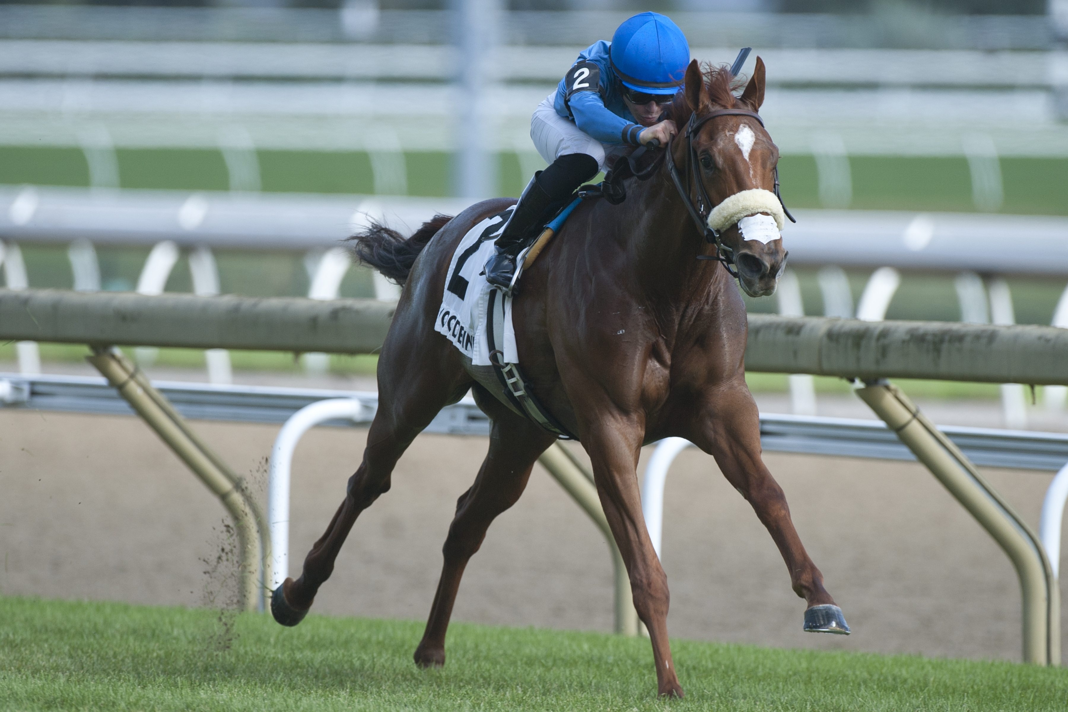 Fair Maiden wins the Catch a Glimpse Stakes at Woodbine 8-17-2019.MB