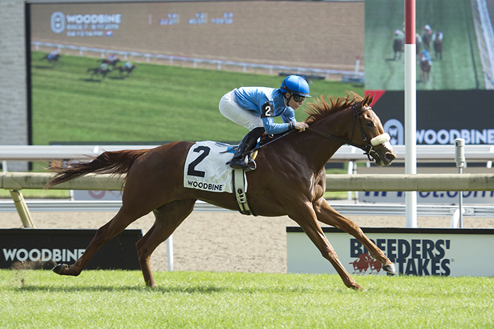 Fair Maiden wins the 2019 Catch A Glimpse Stakes at Woodbine