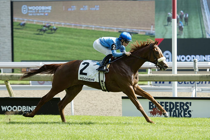 Fair Maiden wins the 2019 Catch A Glimpse Stakes at Woodbine