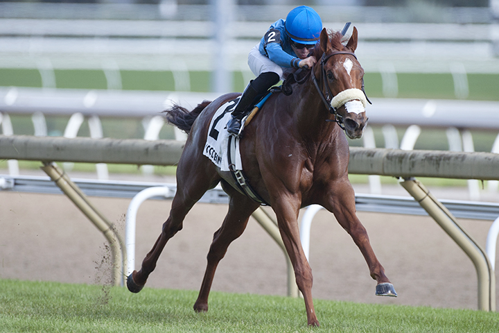 Fair Maiden wins the 2019 Catch A Glimpse Stakes at Woodbine
