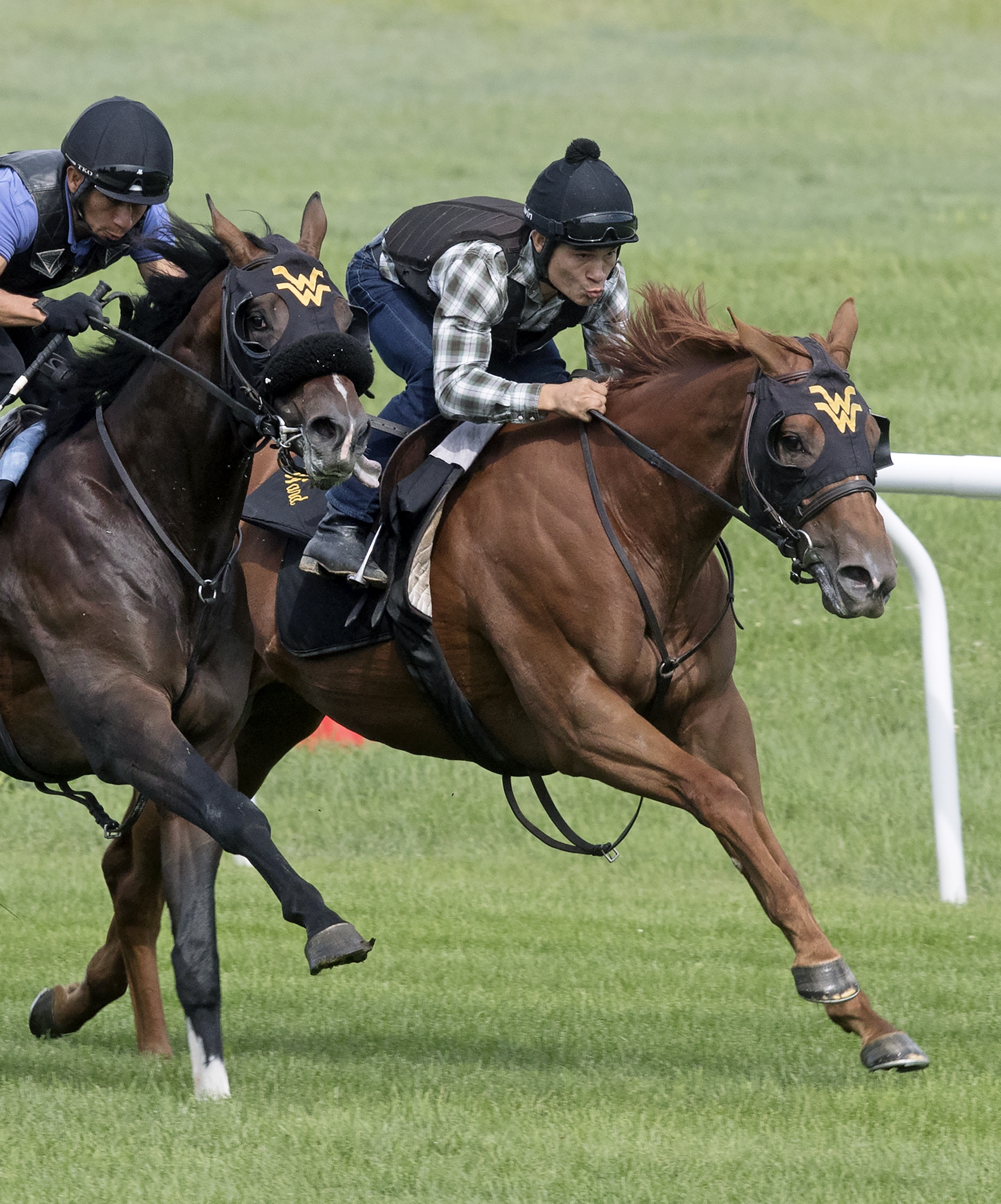 Fairyland trains at Saratoga on July 28