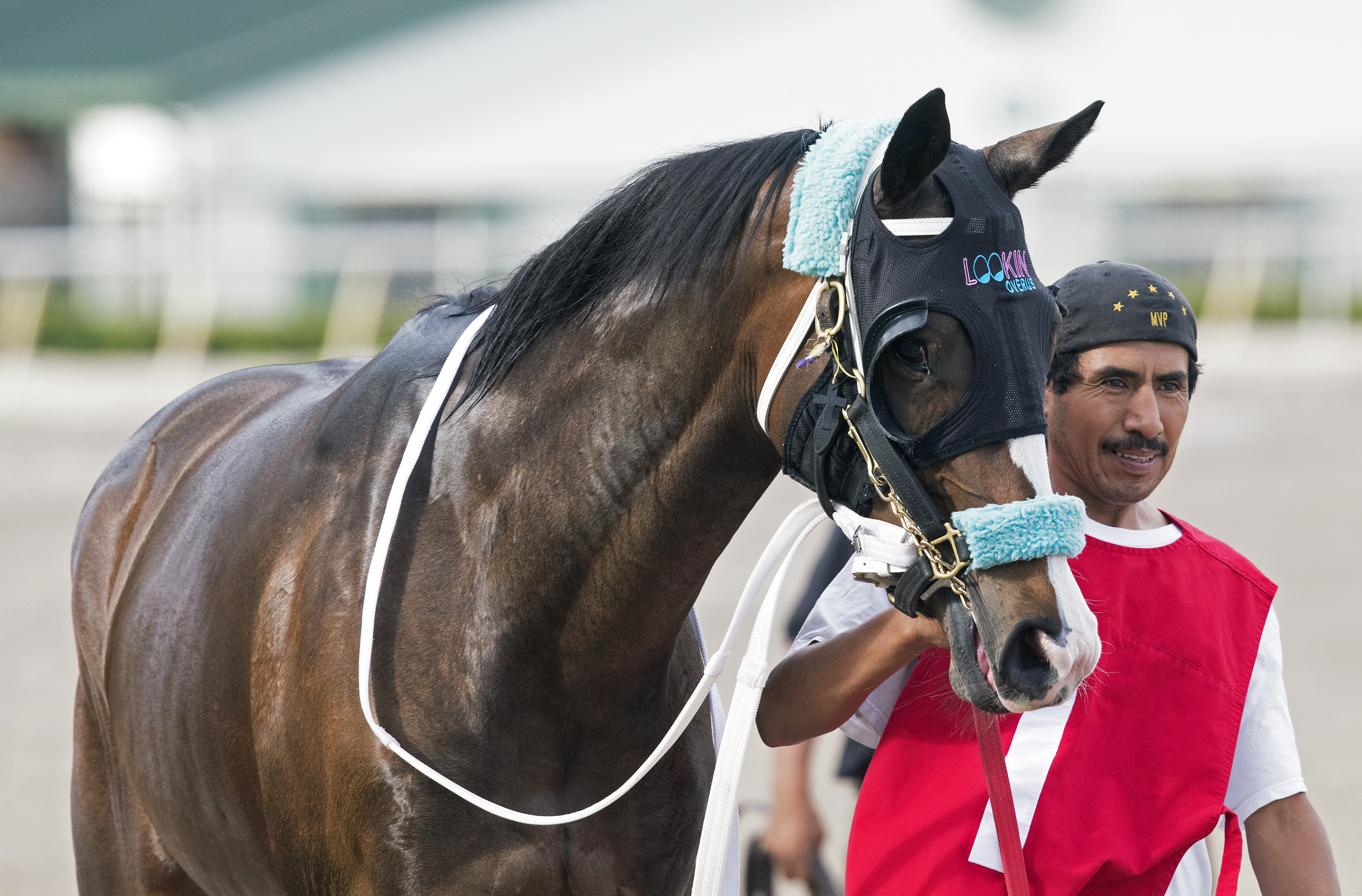 Faith N Hope after the 2017 Any Limit Stakes at Gulfstream