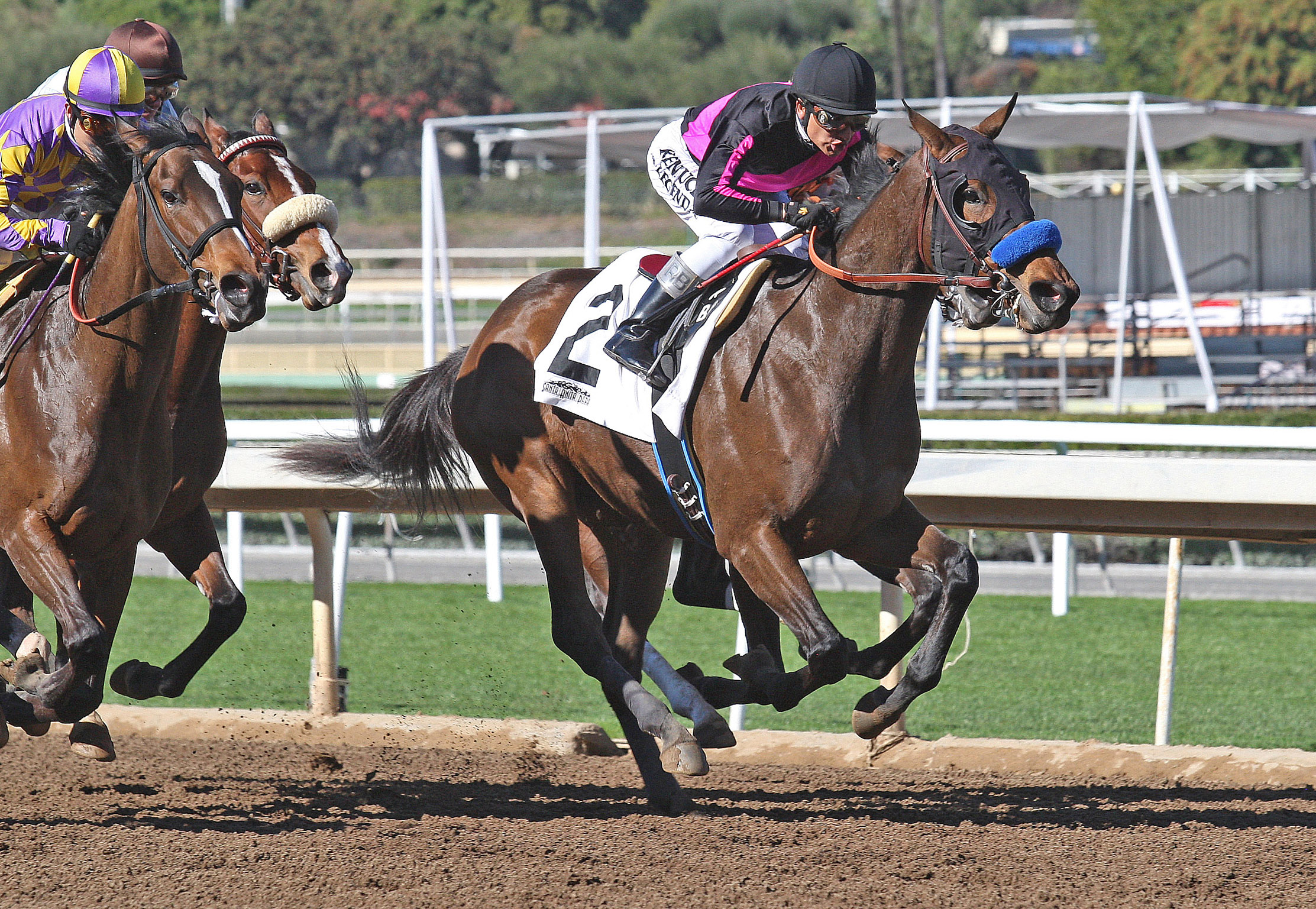 Faithfully finishes second in a Jan. 28, 2016 maiden race