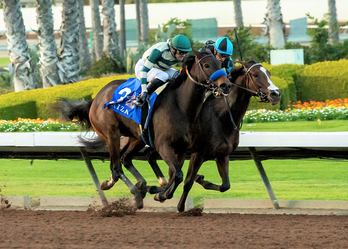 Faiza (left) beats Pride of the Nile in Starlet at Los Al Dec 10 2022