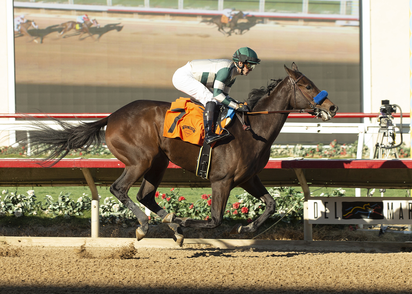 Faiza/maiden win