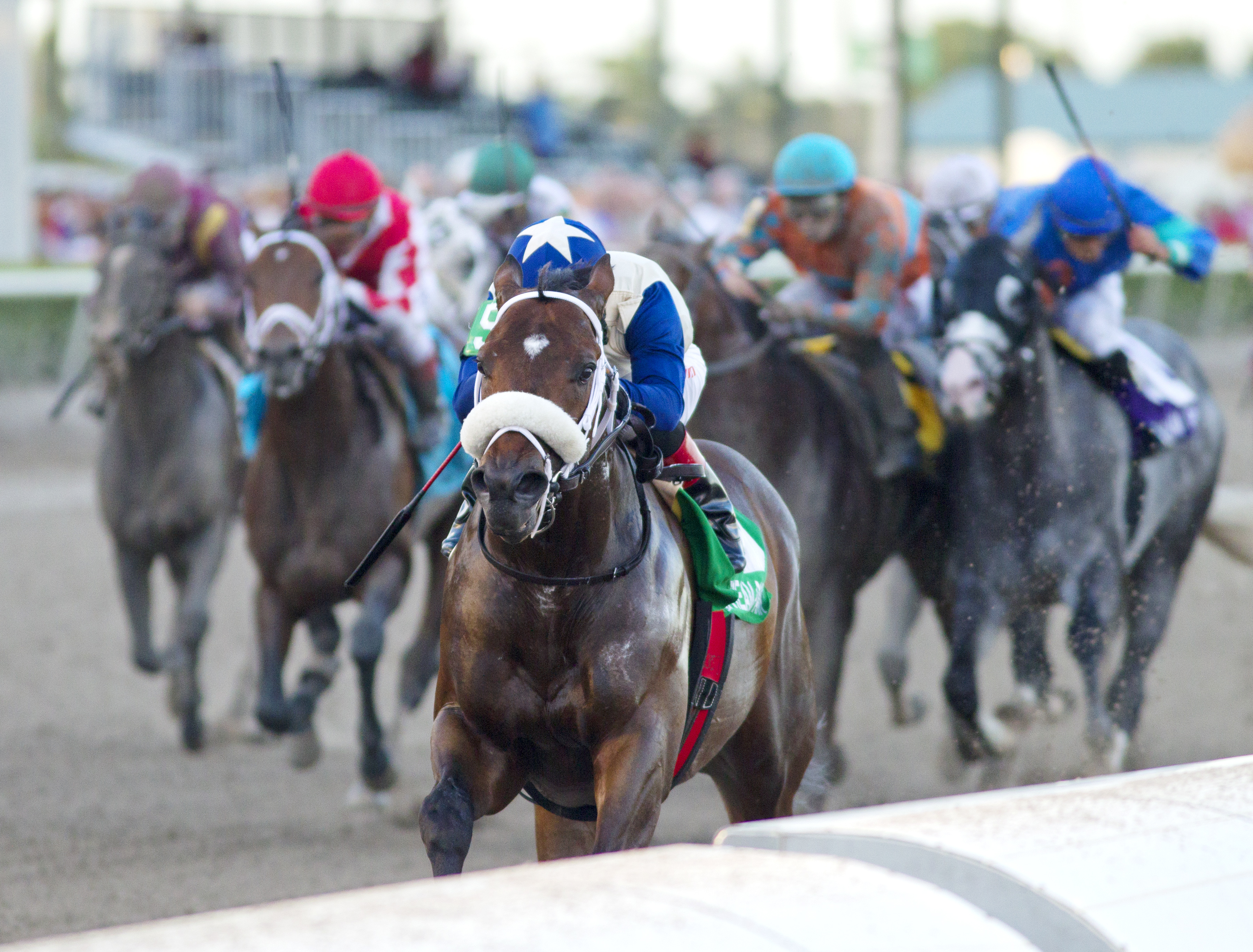 Falling Sky wins the Gulfstream Park Sprint
