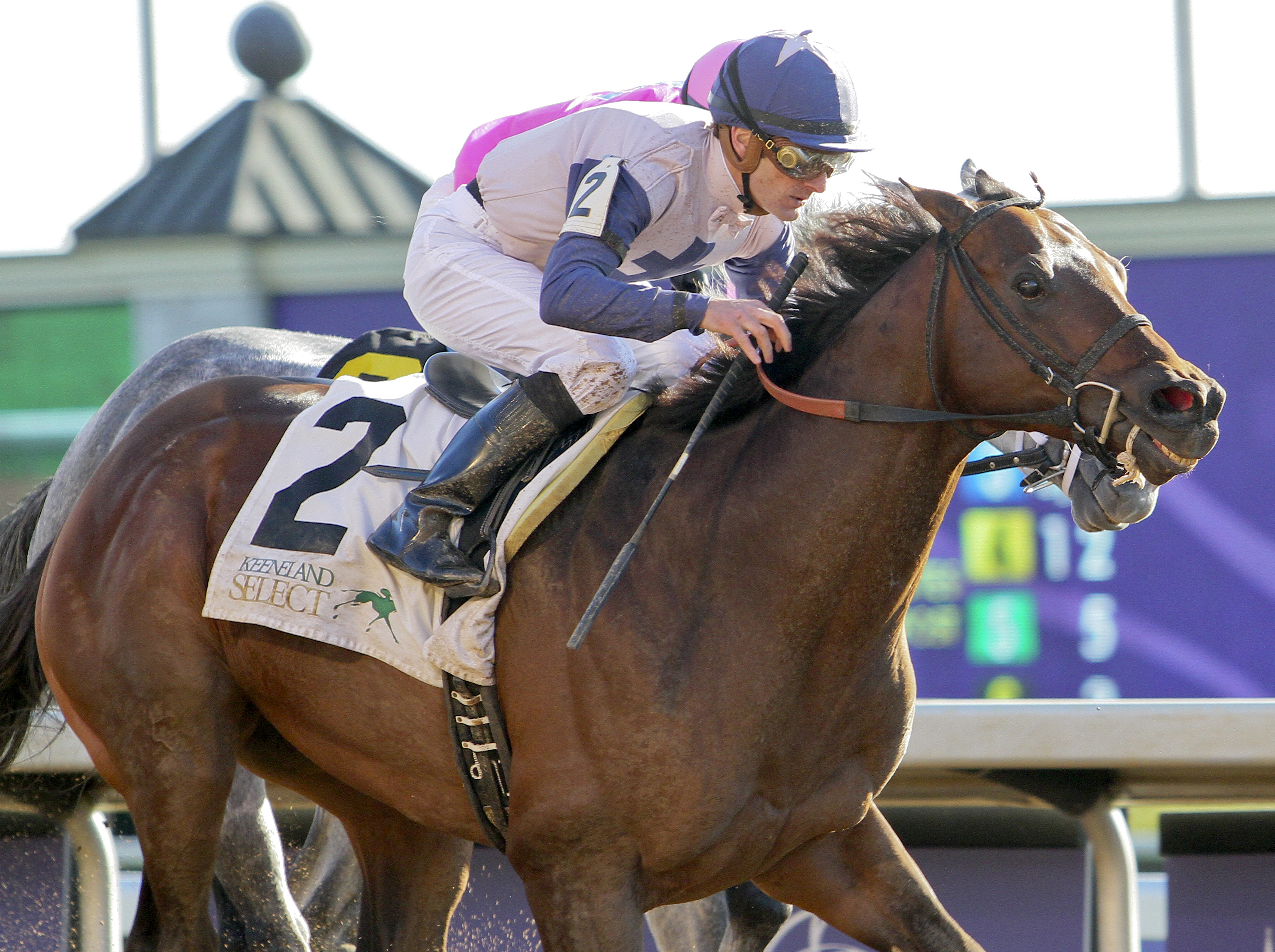 Falling Sky wins the Lafayette
