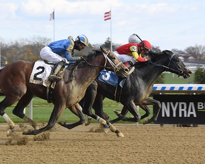 Family Biz wins a Nov. 10 maiden race