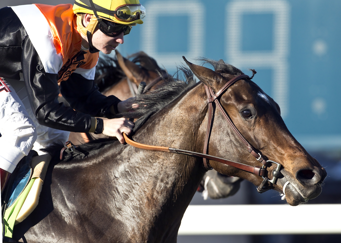 Family Meeting wins 2015 Jimmy Durante