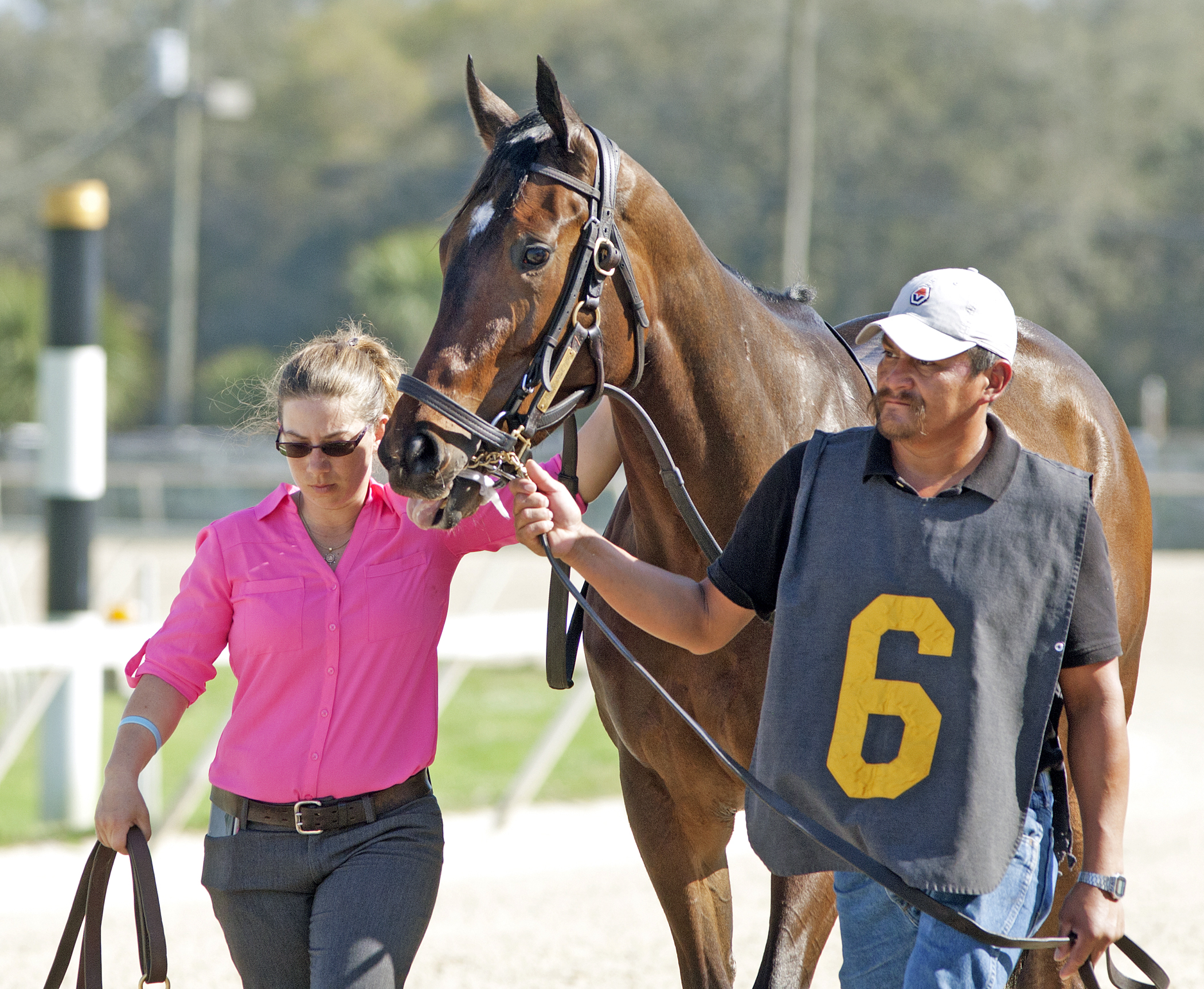 Family Meeting at Tampa Bay Downs