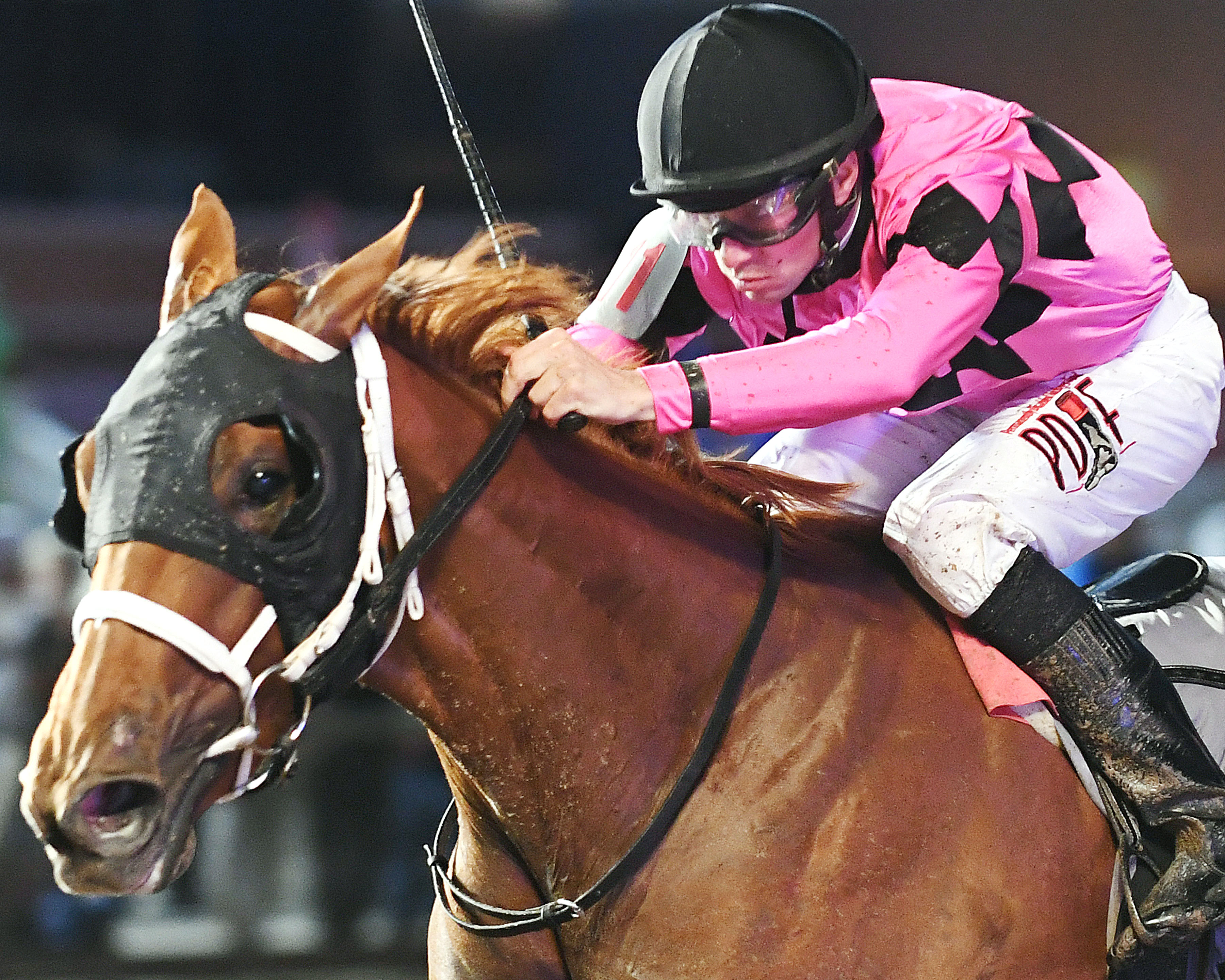 Family Tree wins the Iowa Oaks