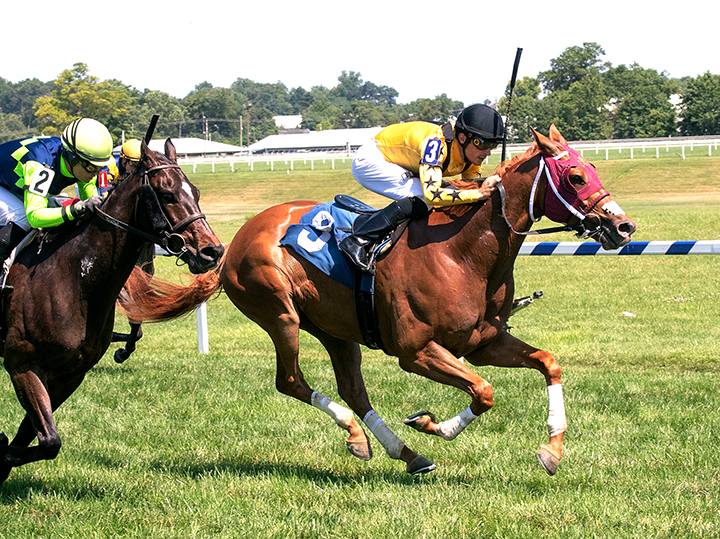 Family Tree wins a July 13 allowance race at Laurel Park