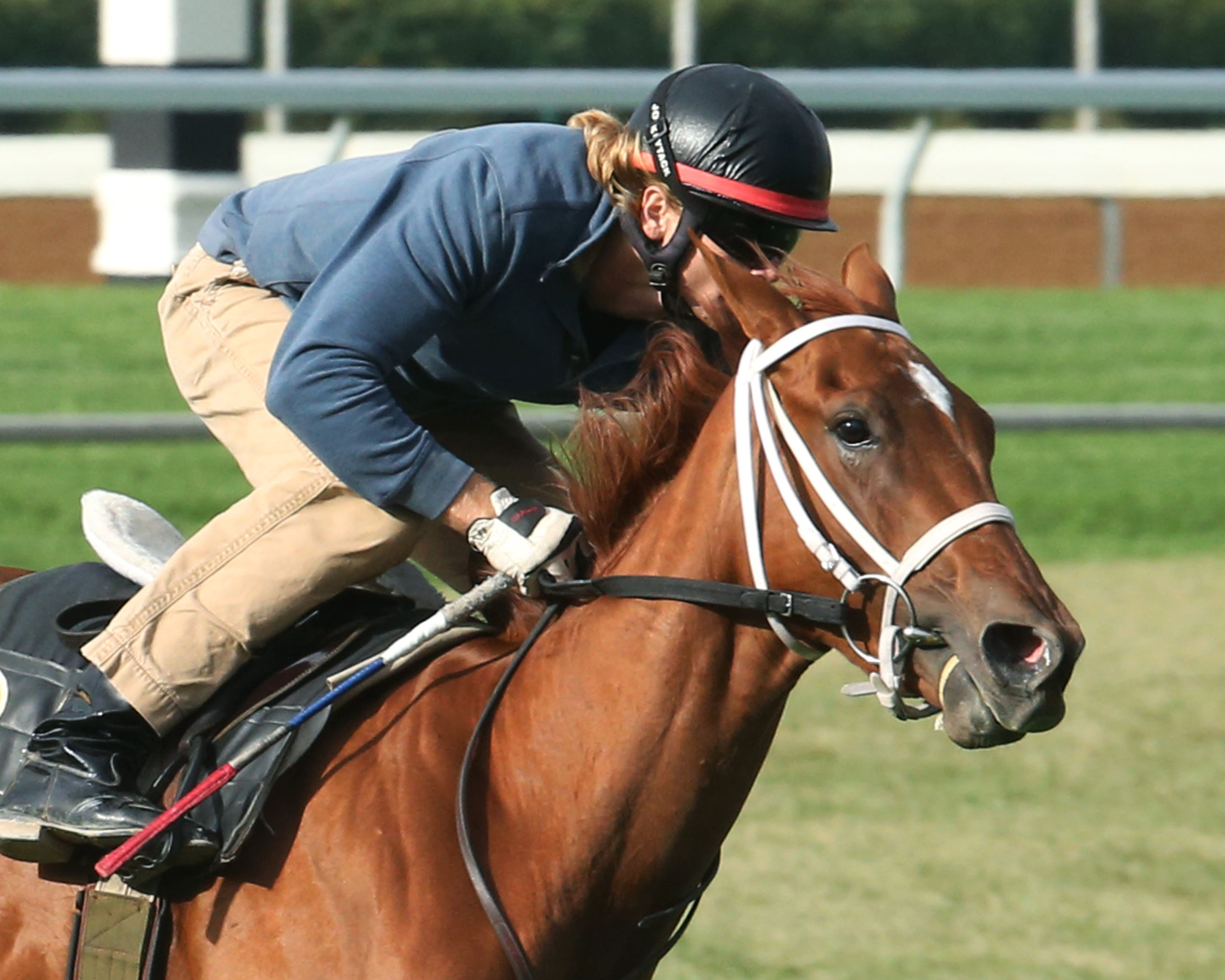 Family Tree trains at Keeneland
