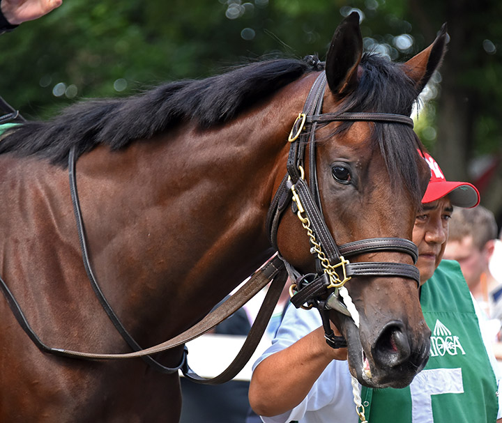 Famished at Saratoga Race Course
