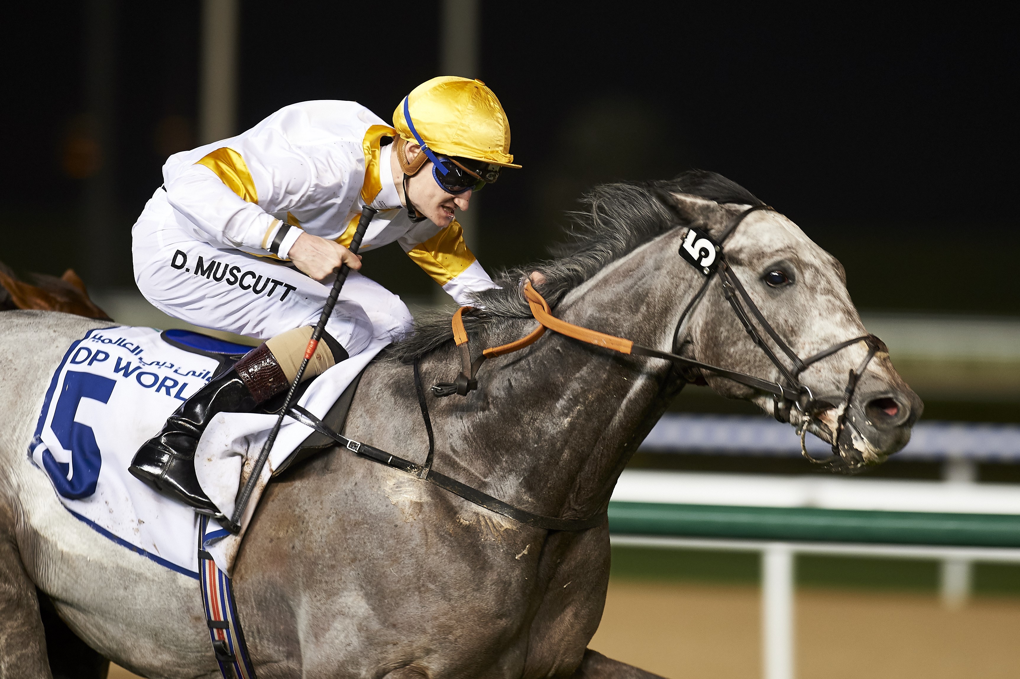 Fanciful Angel wins the 2017 Mina Rashid Handicap