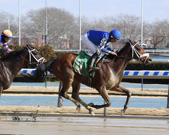Fancy That wins a Feb. 21 maiden race at Aqueduct Racetrack