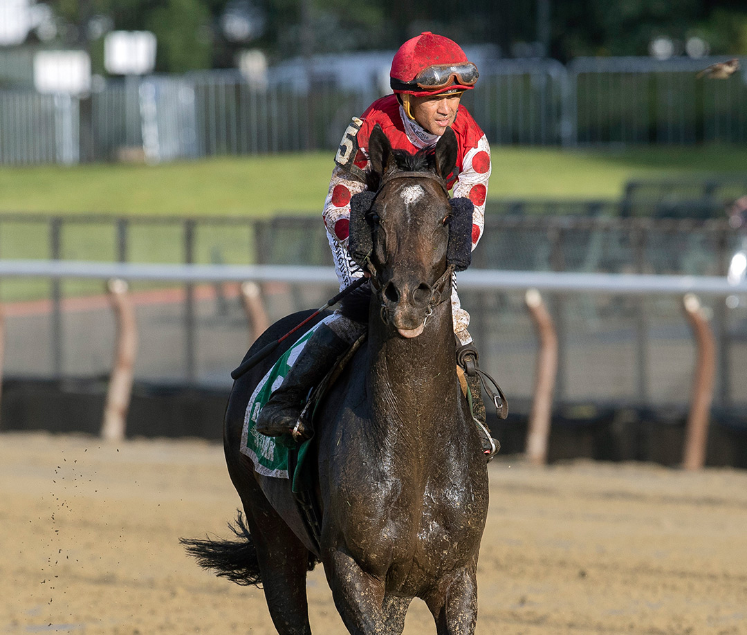 Fantasioso finishes second in the 2021 Jockey Club Gold Cup at Belmont Park